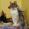 Отзыв от Лариса Скворцова